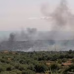 incendio boschi catania
