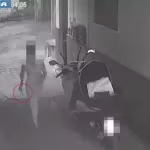 lite catania polizia arresti