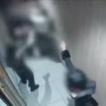 pestaggio polizia