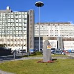 Su scooter rubato vede polizia e si schianta su un palo: 19enne in gravi condizioni a Catania