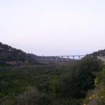 Scarichi illeciti di tre oleifici nel Palermitano: scattano denunce e sanzioni