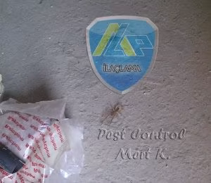 Uygulama Örneklerimiz 12 Sarı Ömer Mücadelesi