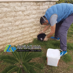 Uygulama Örneklerimiz 6 ALP ilaçlama dezenfekte gorseli 54526002 10156499008003143 1640757251729784832 n