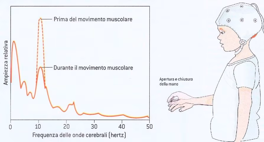 Teoria degli specchi infranti