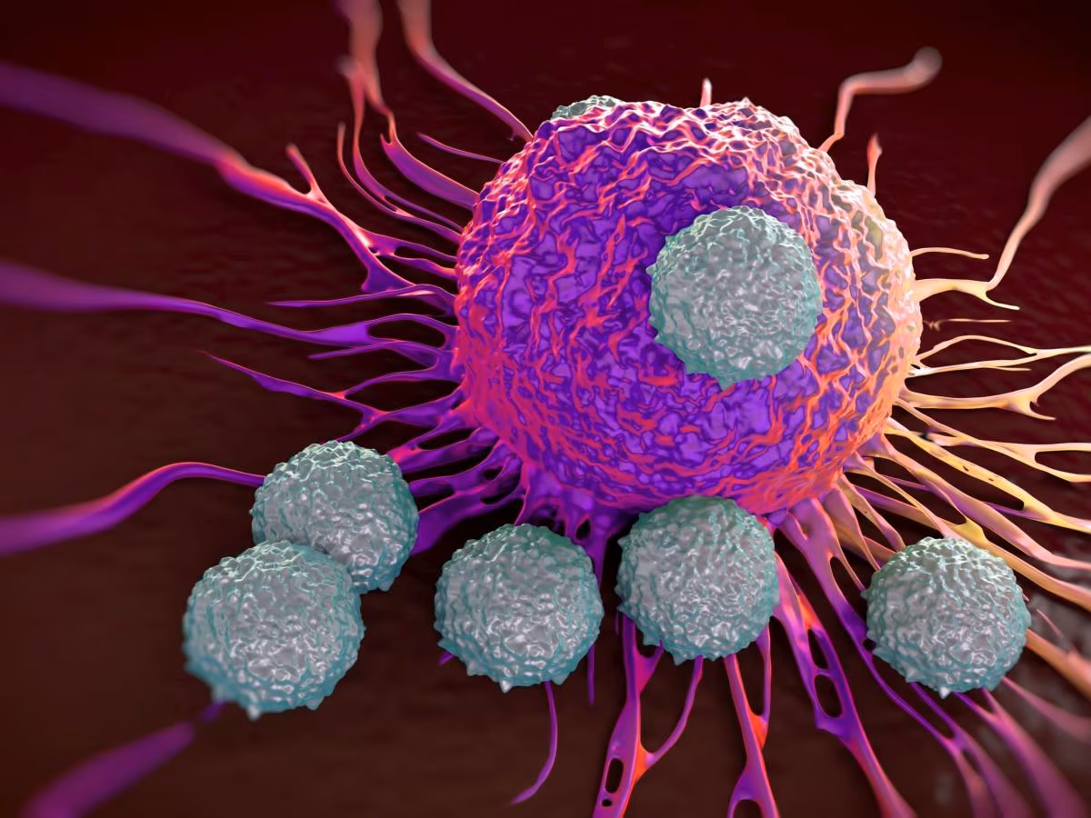 Le molecole di RNA controllano la riparazione del DNA in cellule tumorali