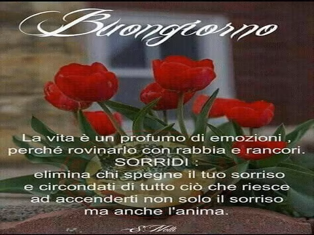 frasi di ringraziamento per fiori ricevuti