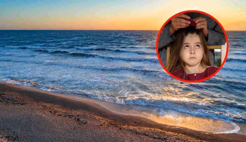 Allarme Pidocchi al MARE: massima attenzione nelle spiagge | 3 consigli per evitare che ti saltino in testa