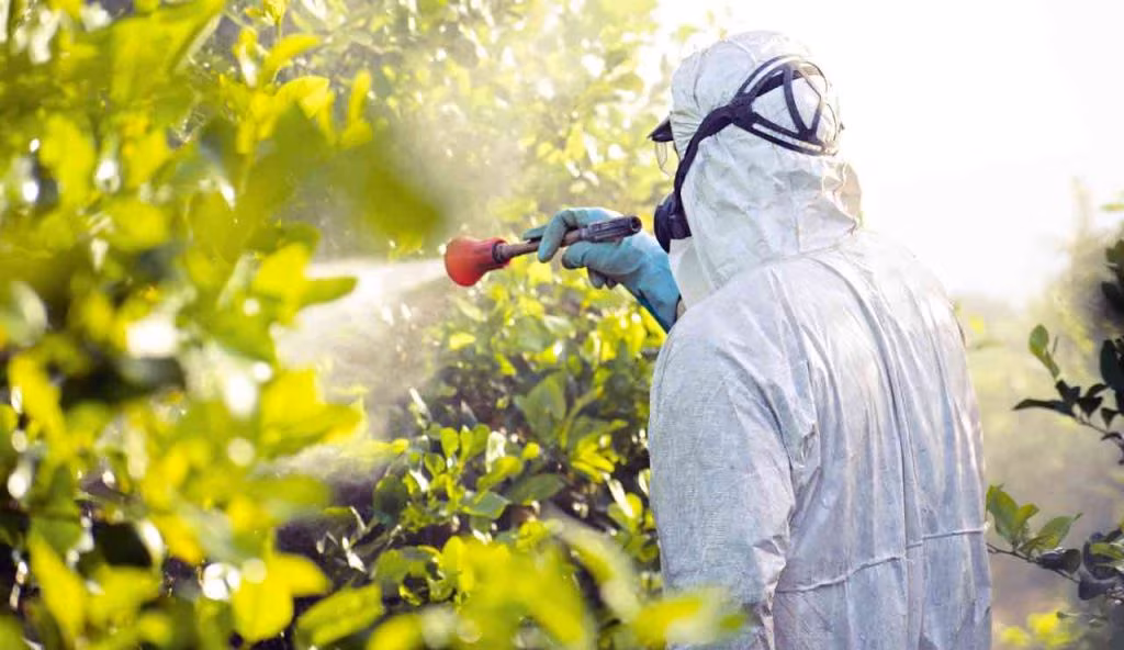 Tossine e Pesticidi sono presenti in questo prodotto: le CASALINGHE sono disperate | Tutte lo usano per cucinare