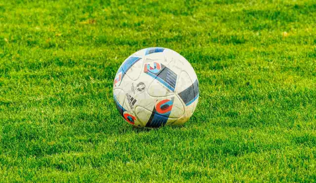 Illustrazione di un pallone (Pixabay FOTO) - lagoleada.it
