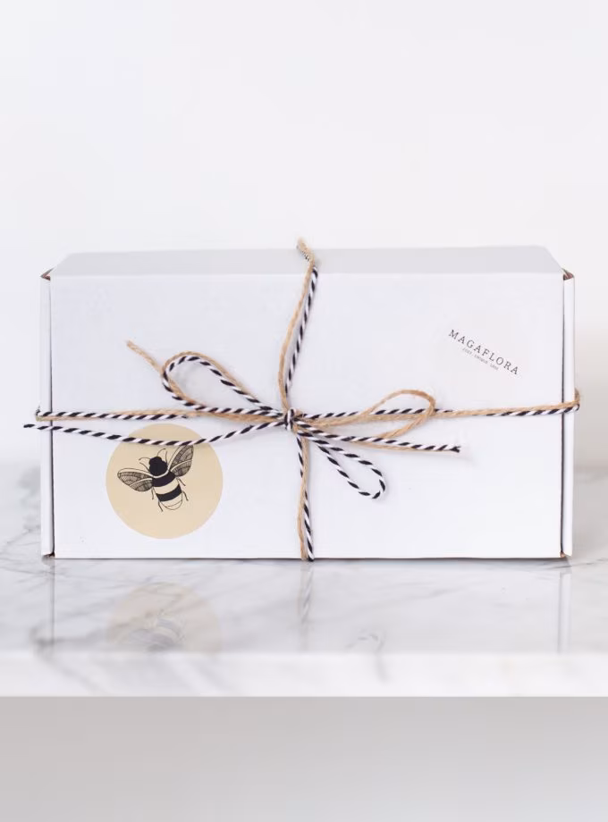 Sunshine Mum Yapım Kutusu