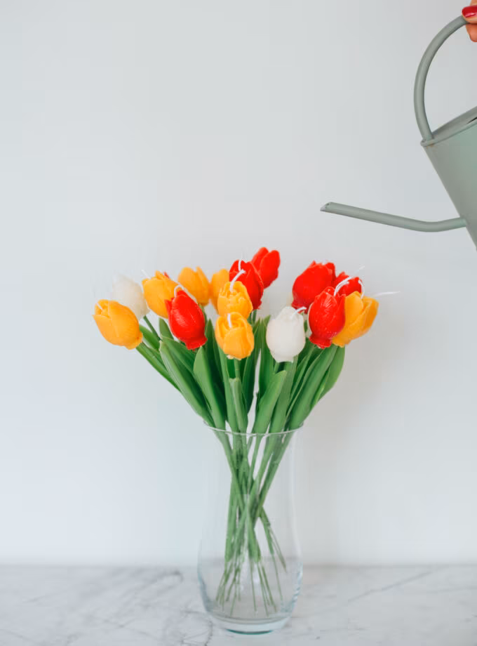 Balmumu Tekli Lale Mum