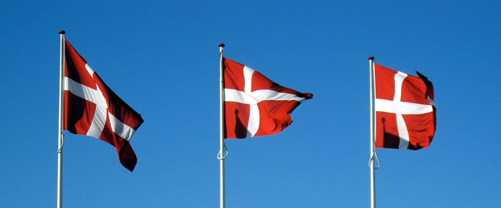 It is the oldest country flag that is still in use: the Dannebrog. This is Danish for Danish banner or cloth. The flag is mentioned for the first time in a source from the 14th century.