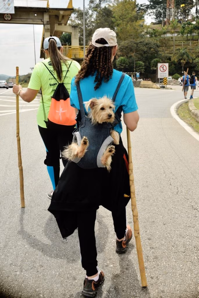 No caminho da fé, romeiros encontram ponto de apoio até a chegada a Aparecida - Jornal O São Paulo