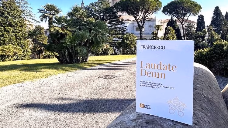 Em novo documento, Papa reforça a responsabilidade humana no agravamento da crise climática - Jornal O São Paulo