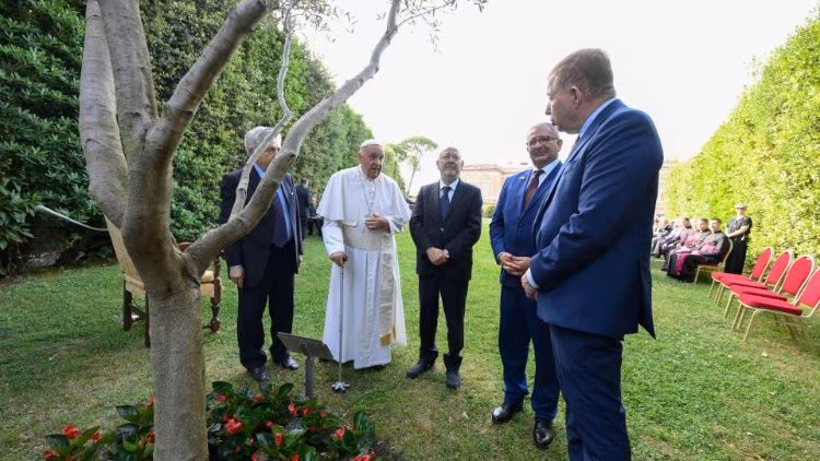 Papa: chega de guerra! Palestina e Israel vivam lado a lado - Jornal O São Paulo