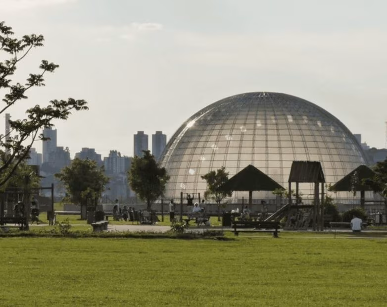 Summit SP+Verde terá coleta de eletrônicos que serão convertidos em mil mudas nativas de Mata Atlântica - Jornal O São Paulo