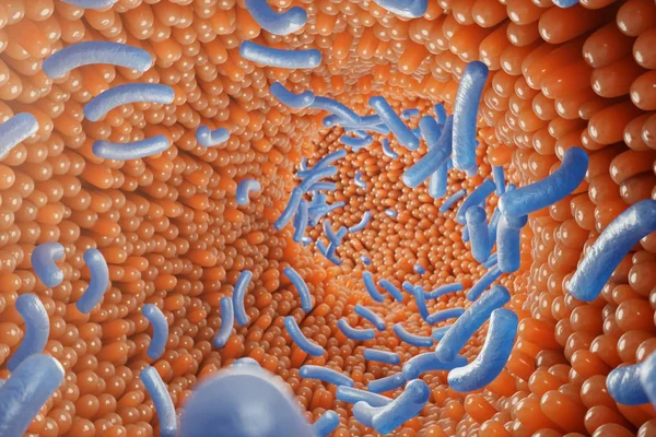 Villi intestinali, mucosa intestinale. Batteri e microbi nell'intestino. Villi microscopici e capillari. Intestino umano, malattia cronica. Virus dell'epatite, influenza, infezioni cellulari, 3D Rendering — Foto Stock