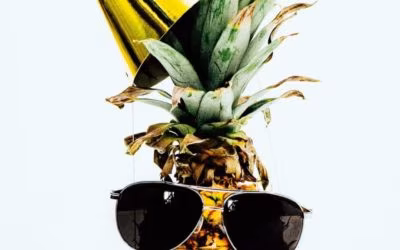 Prvih godinu dana u digitalnom marketingu i vođenju vlastite tvrtke