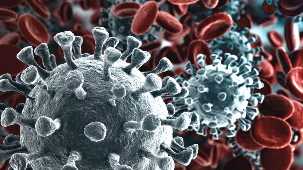 Come si presenta il coronavirus al microscopio