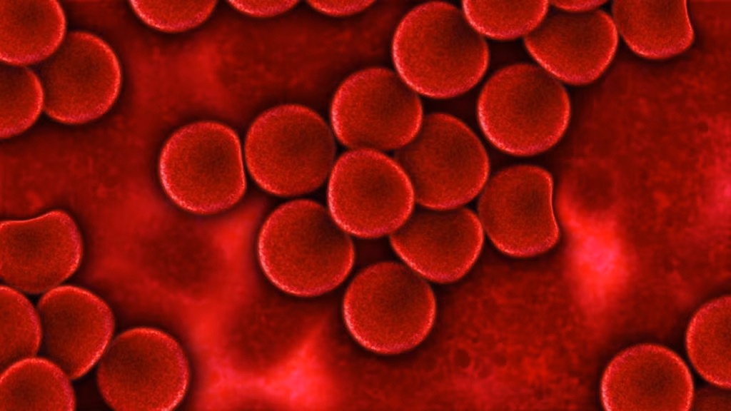 SmartMicroOptics annuncia il nuovo prodotto DIPLE su Mamacrowd