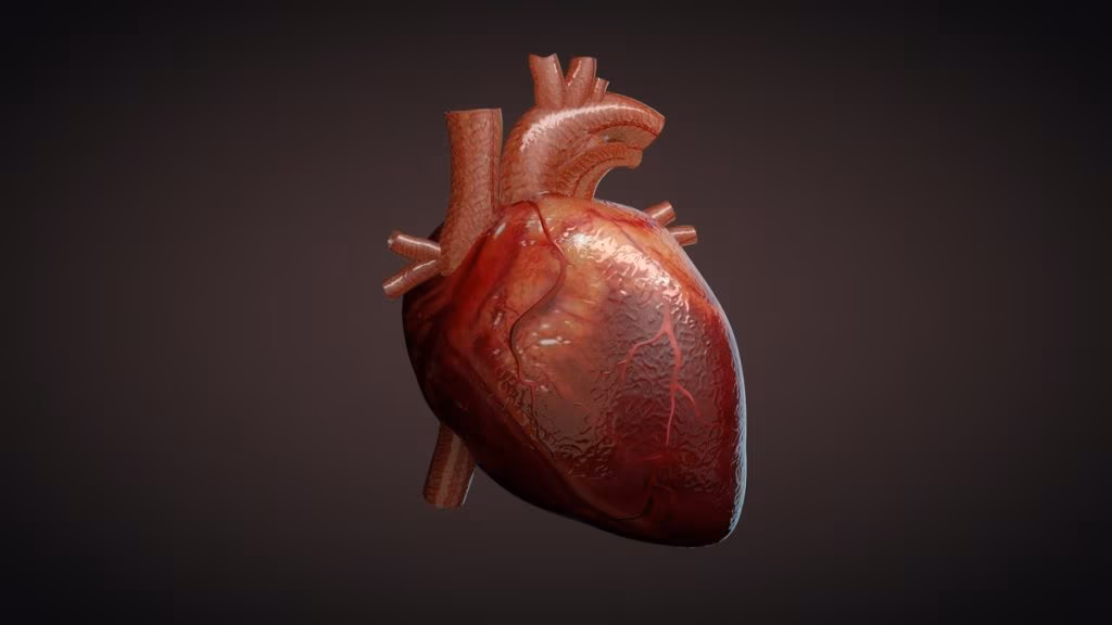 cuore