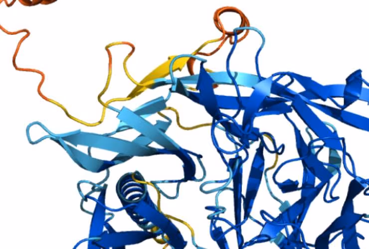 Illustrazione della proteina Q8I3H7, che può proteggere dalla malaria (Alphafold)