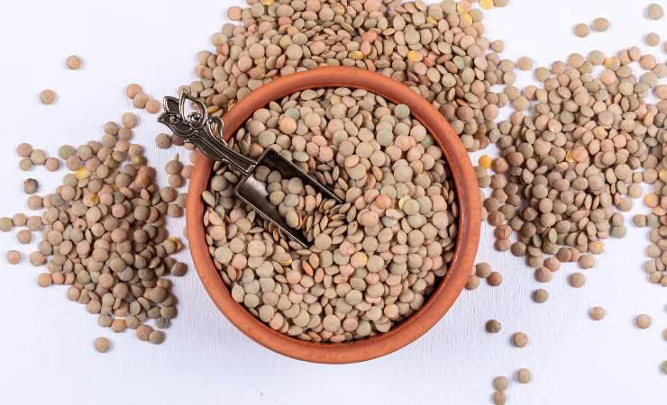 Contenitore di lenticchie