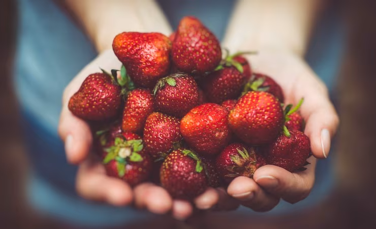 Fragole