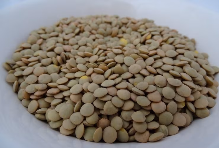 Un po' di lenticchie in un piatto (Pixabay)
