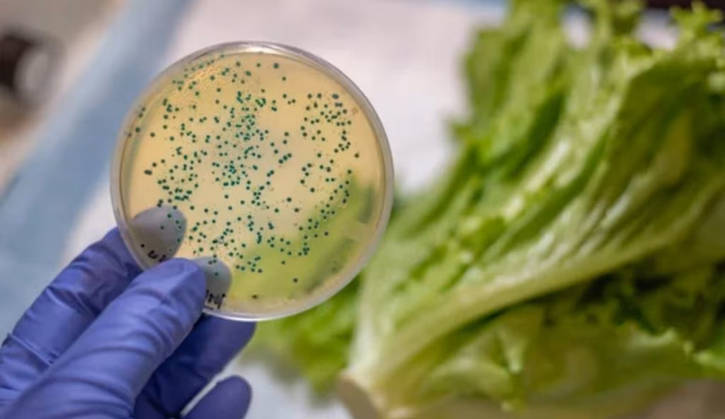 Contaminazione