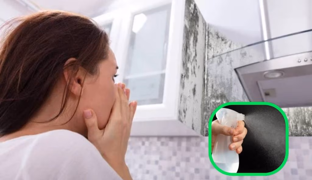 Ingrediente contro muffa