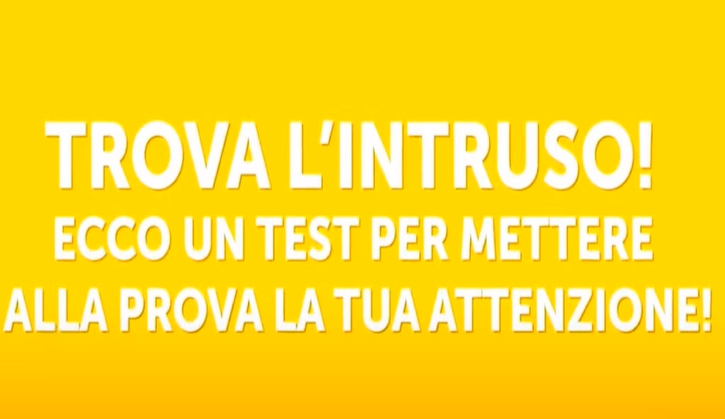 Trova il gatto diverso in 5 secondi: se non ci riesci rischi complicazioni neurologiche | Questo test svela il primo sintomo