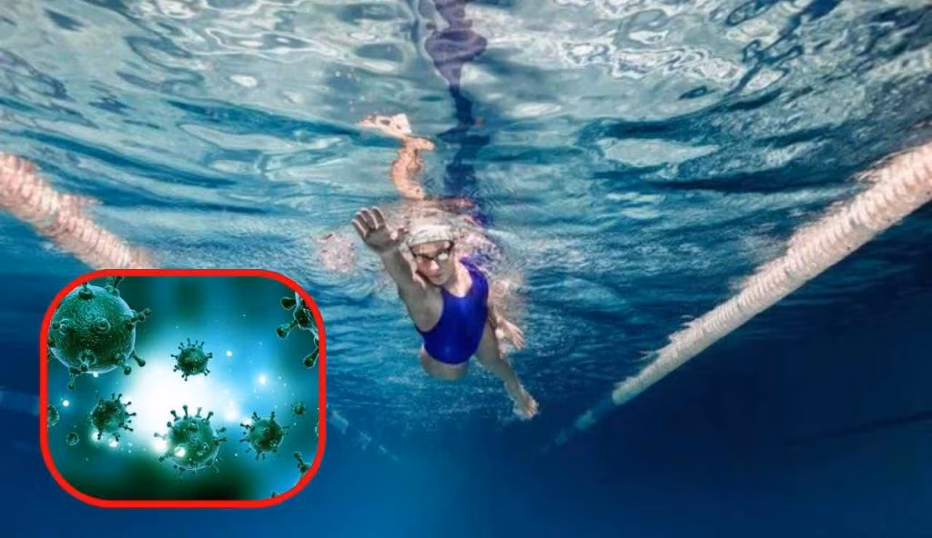 Virus in piscina