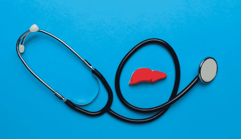 Fegato cuore prevenzione