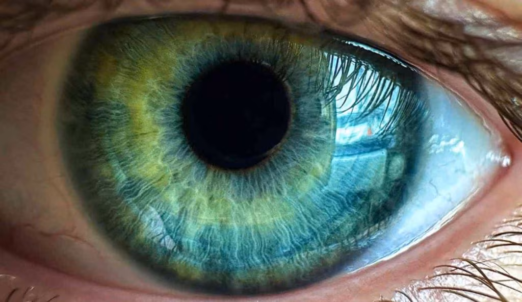 Illustrazione di un occhio (Canva FOTO) - biomedicalcue.it