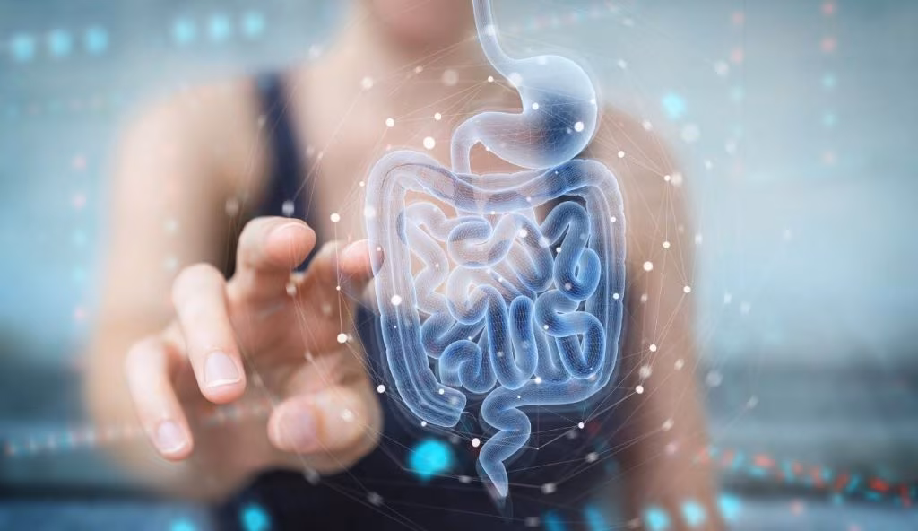 Scoperta la connessione diretta tra cervello e microbioma intestinale