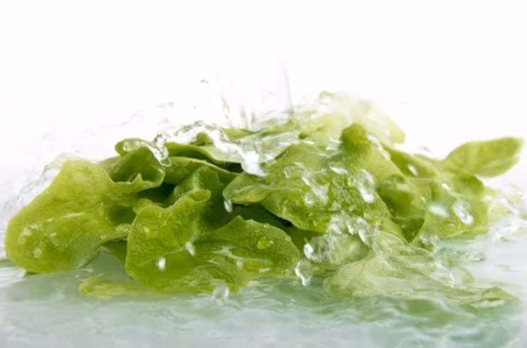 Insalata lavata (Depositphotos foto) - www.biomedicalcue.it