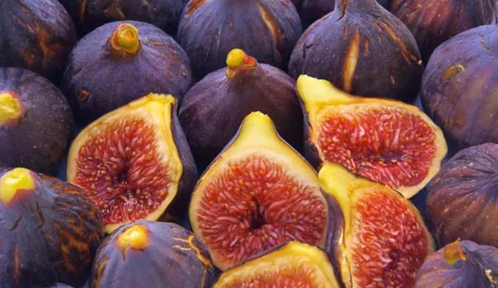 Fichi