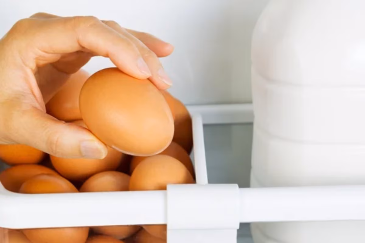 Uova in frigo (Depositphotos foto) - www.biomedicalcue.it