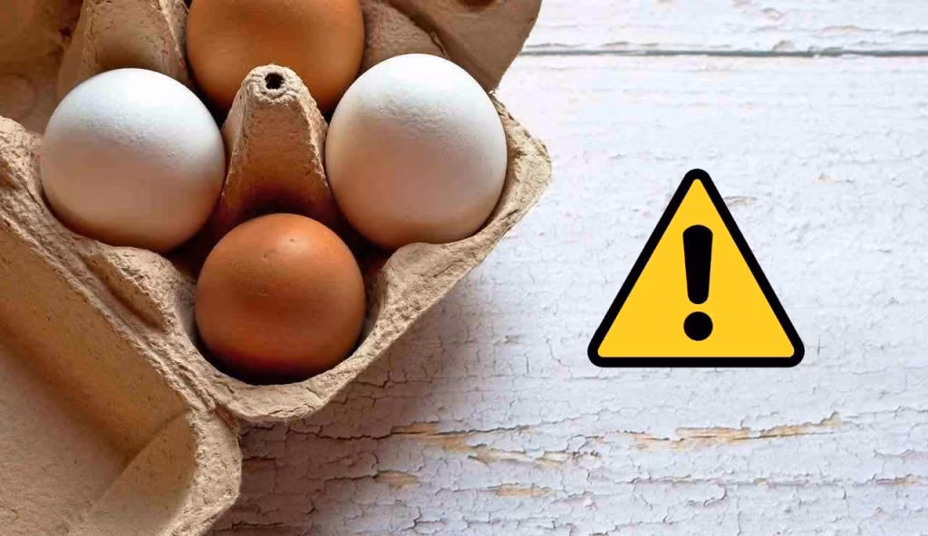 Uova e pericoli (Pixabay foto) - www.biomedicalcue.it