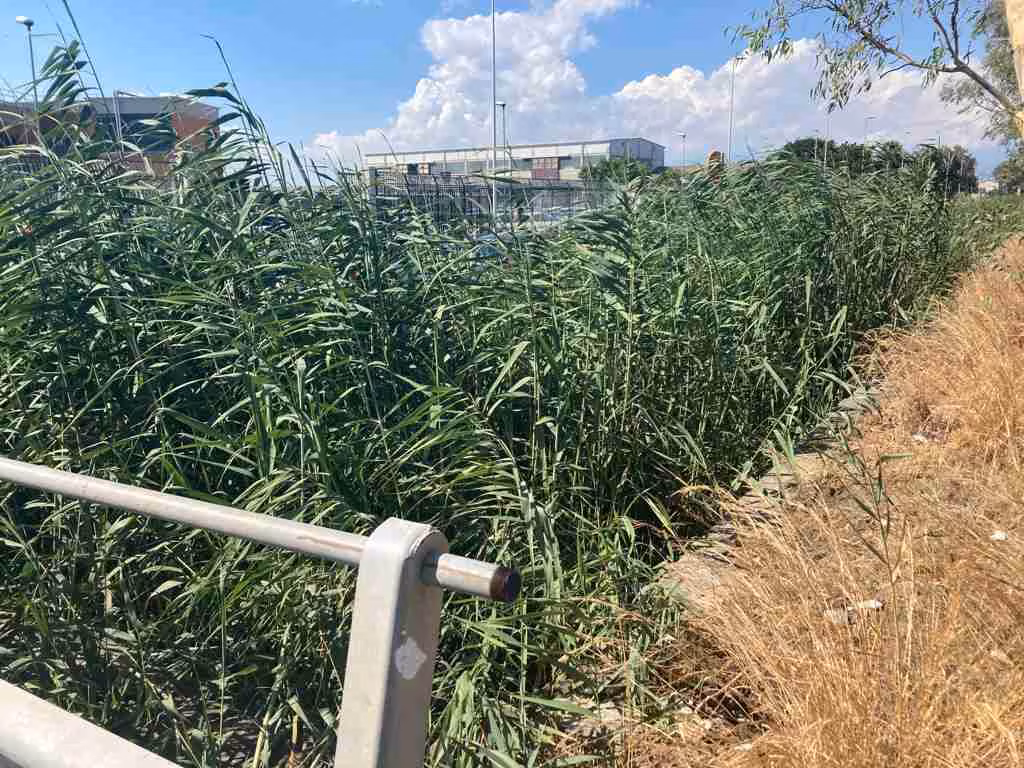 Zona industriale: torrenti e canali di scolo ostruiti, Ugl chiede interventi