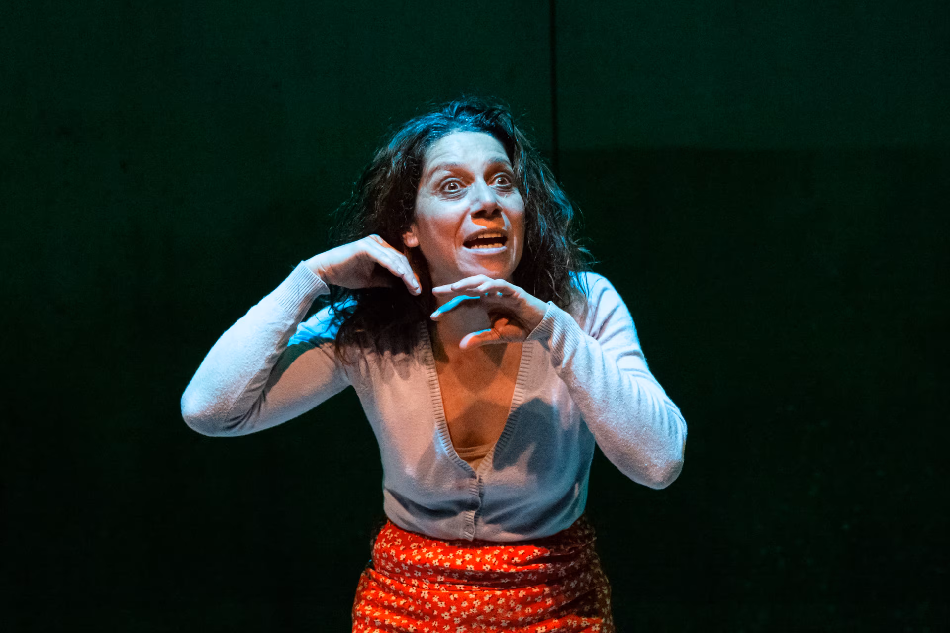 Ti dico una cosa segreta di Rosario Palazzolo