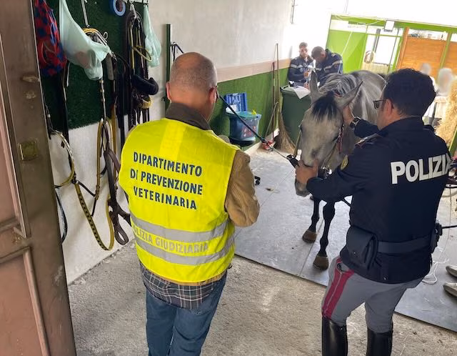 Un’articolata e vasta operazione di controllo a tutela degli animali nel quartiere San Cristoforo