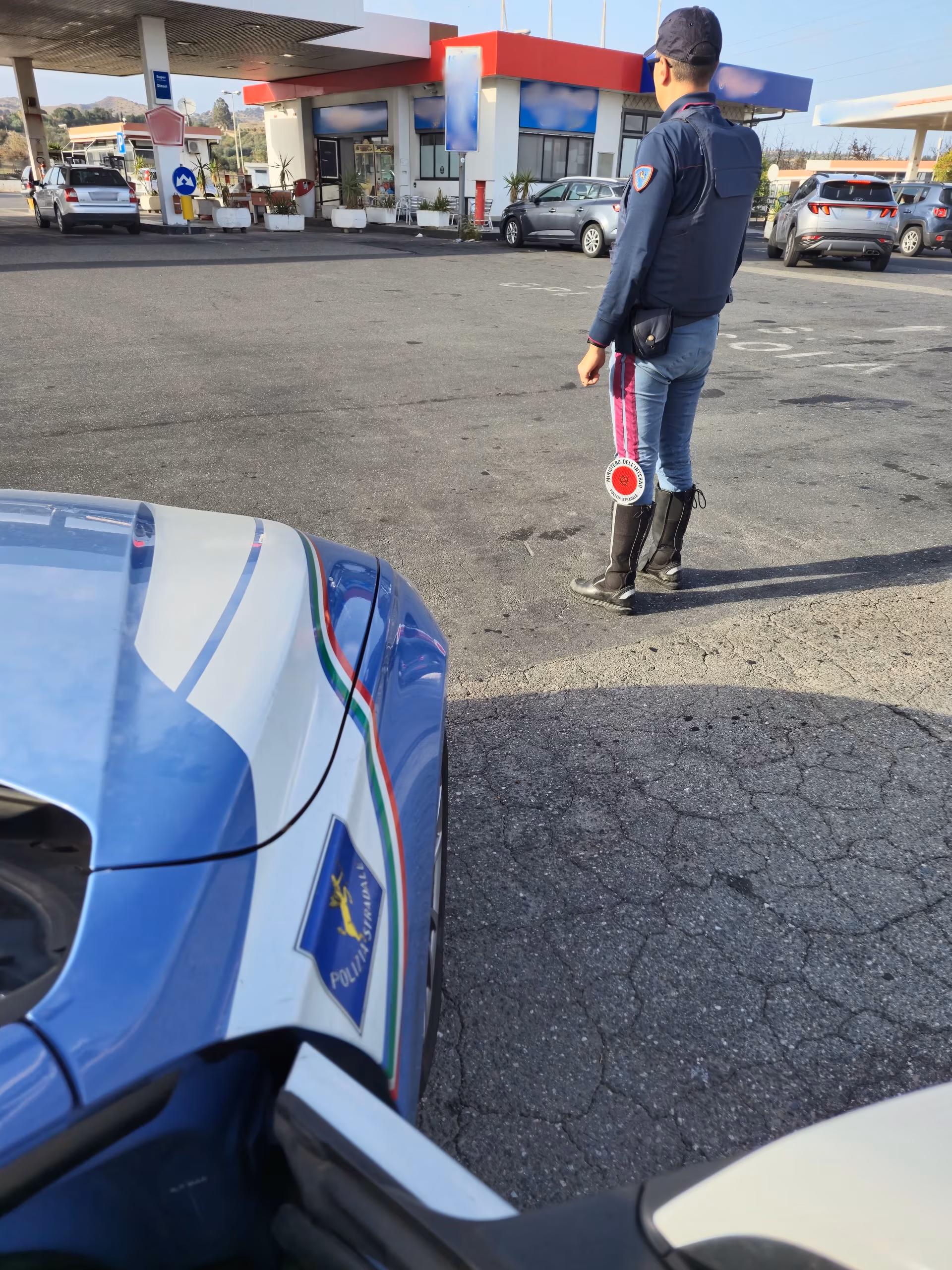 Catania Tangenziale Polizia Stradale salva vitelli furgone trasporto illegale denunce