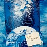 Lasciatemi fluire + Il volo libero del Gabbiano Jonathan Livingstone