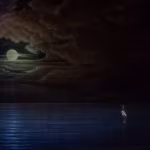 ph © rosellina garbo 2018