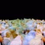 COPERTINA ARTICOLO ANDREA PACANOWSKI