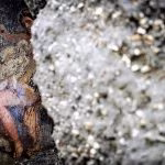 Nuove scoperte a Pompei: affresco di Leda e il cigno