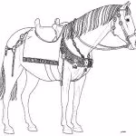 considerazioni-sui-reperti-inbronzo-28-10-18-016