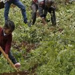 1440x810_cmsv2_583d3ad6-a680-5803-bdb6-6b43ebce750d-4064864